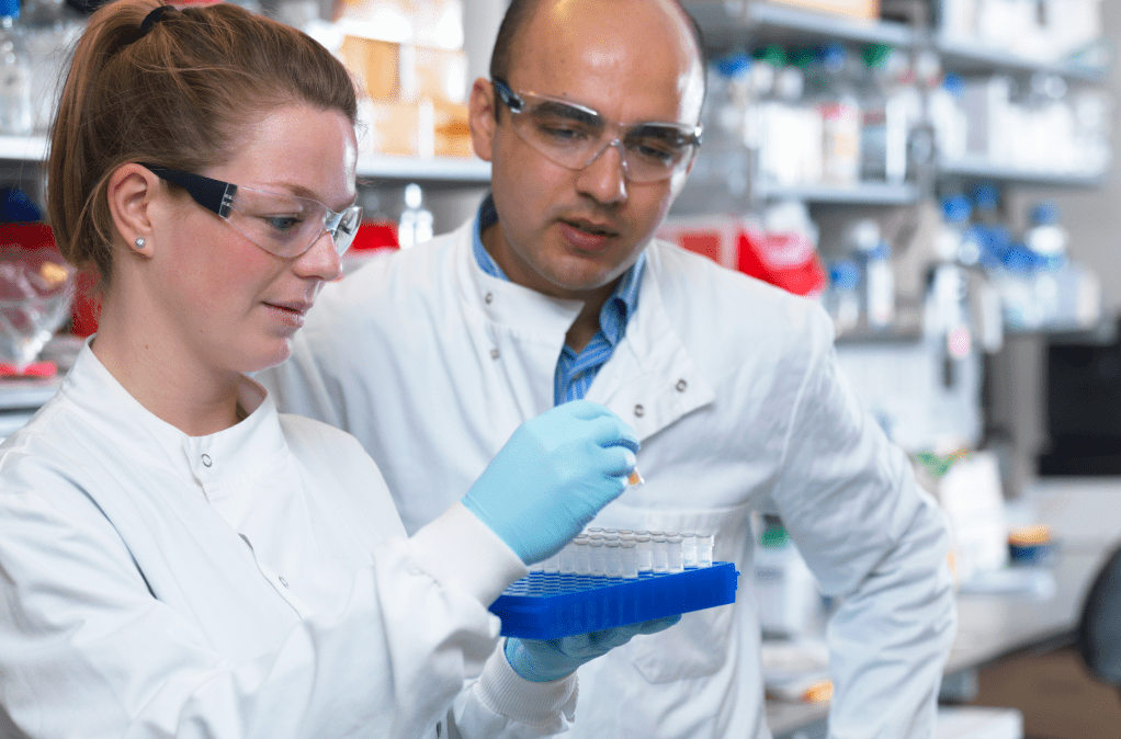 Super Efficient Supplements