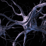nootropic effects on brain