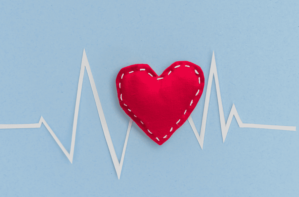 Heart and heart beat showing heart health as another benefit of using sea moss