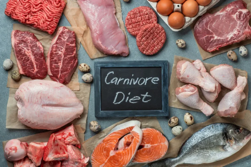 carnivore diet plans