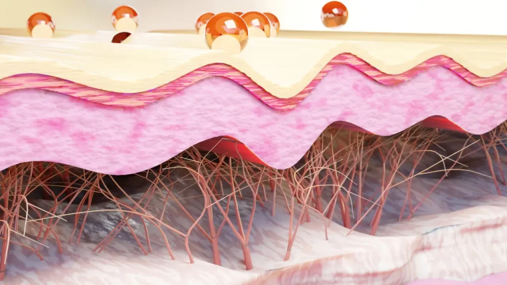 Collagen formation in skin. 