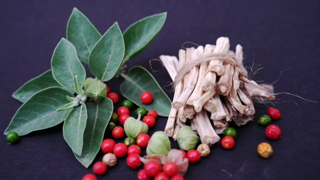 ashwagandha's stress-relieving properties