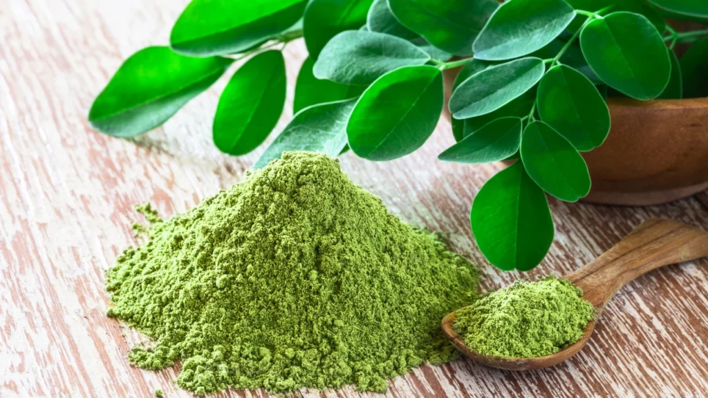 Moringa oleifera powder