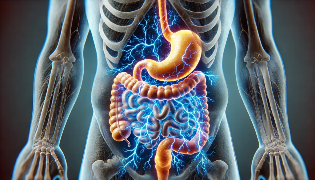 A high-detail 3D medical rendering of the digestive system with electric blue neural pulses traveling along the intestines, highlighting stress-induced changes in gut function and nervous system interactions.